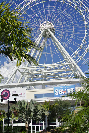 Orlando Eye