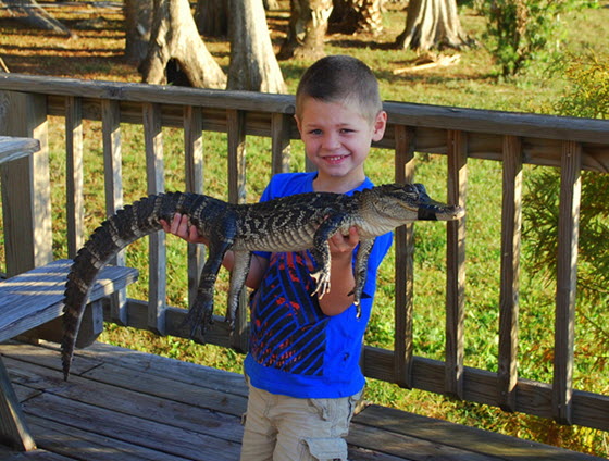 Florida Wildlife Park