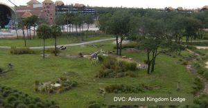 Have You Considered Trying DVC for Your Disney Trip?