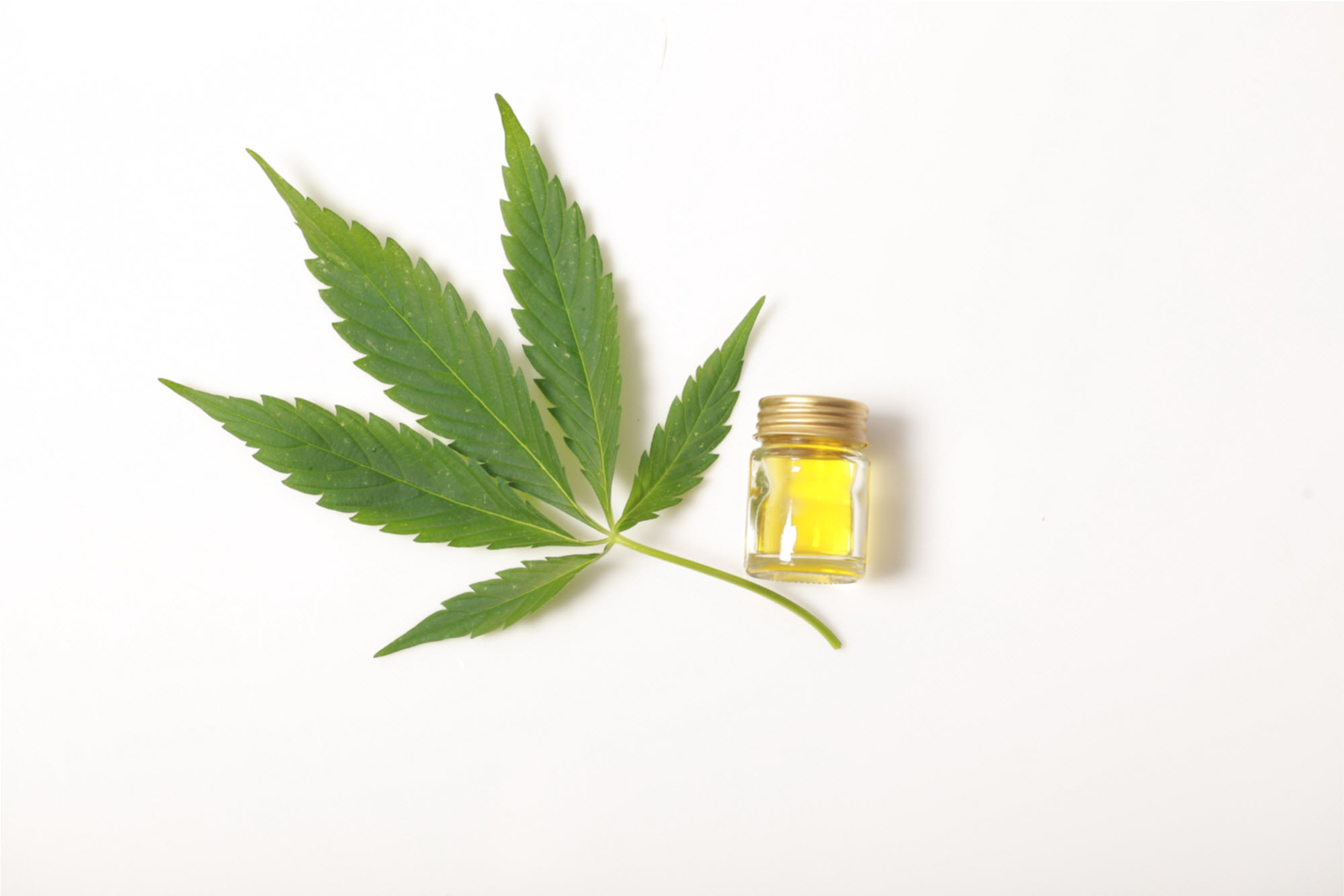 cbd-review-1.jpg