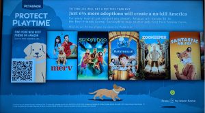 Raise Money for Best Friends Animal Society By Watching Movies on Fire TV